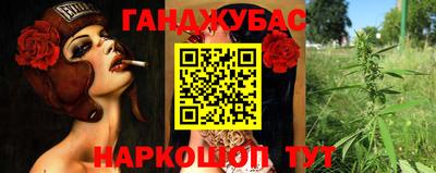 дурь Бердск