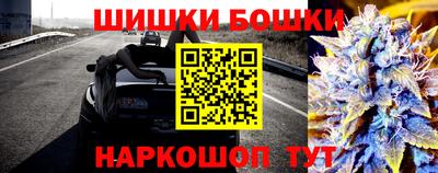 дурь Бердск