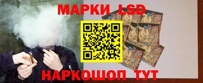 дурь Бердск